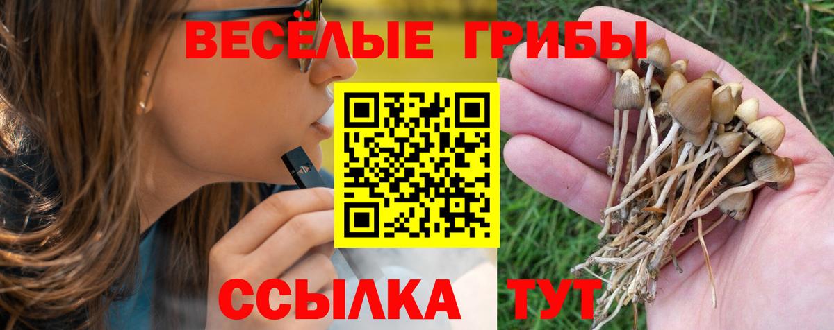 Псилоцибиновые грибы мицелий Железногорск