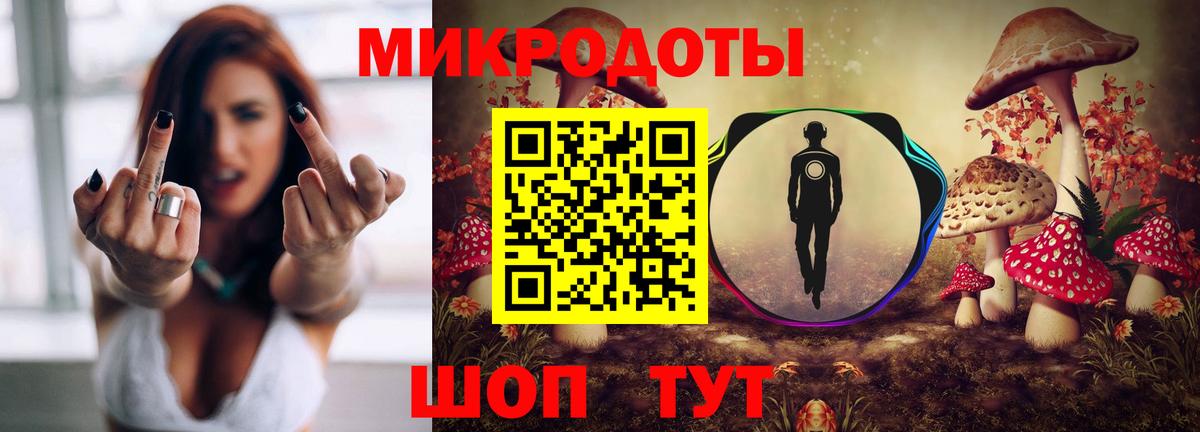 купить закладку  Галлюциногенные грибы прущие грибы  Галлюциногенные грибы прущие грибы  Вход с VPN  Железногорск 